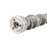 Spring Sealed Camshaft Kit Replacement for 1999-2013 Truck BTR31824100