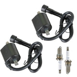 2Pack Ignition Coil + Spark Plug For Yamaha XV535 VIRAGO 535 1987 1988 1990-2000