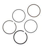 Piston Rings For Honda Fourtrax 300 & TRX300EX Sportrax Standard Bore 74mm USA