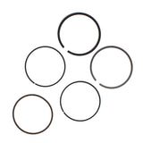 Piston Rings For Honda Fourtrax 300 & TRX300EX Sportrax Standard Bore 74mm USA
