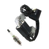 For anything using a small Honda, Clone or Predator engine Coil + spark plug