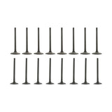 Labwork For Chevrolet Buick GMC 2.4L Head Gasket Bolts & Intake Exhaust Valves