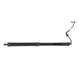Labwork Tailgate Power Hatch Lift Support For 2014-2019 Toyota Highlander 2PCS