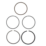 Piston Rings For Honda Fourtrax 300 & TRX300EX Sportrax Standard Bore 74mm USA