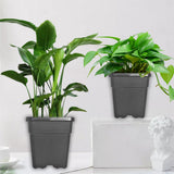 Premium 10Pcs Square Black Injection Molded Nursery Pot Plant Pots 5 Gallon USA