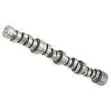 Labwork Camshaft for Chrysler Dodge Ram 1500 With MDS Truck MC1411 53022263AF