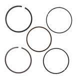 Piston Rings For Honda Fourtrax 300 & TRX300EX Sportrax Standard Bore 74mm USA