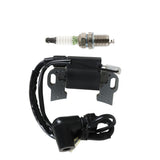 For anything using a small Honda, Clone or Predator engine Coil + spark plug