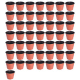 50 PCS Plastic Garden Flower Pots Nursery Seedlings Pot Plant Container Seed US