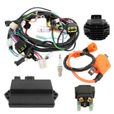 Ignition Coil+CDI+Relay Regulator Wire Harness For Yamaha Raptor YFM350R 04-2013