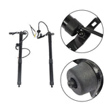 labwork 1 Pair Black Rear Left and Right Tailgate Power Hatch Lift Support Strut Replacement for 2013-2016 Toyota RAV4 6892009010 6891009010