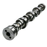 Labwork Sloppy Stage 2 Cam Camshaft For Chevy LS LS1 .585" Lift 286° Duration Lab Work Auto