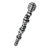 labwork Engine Camshaft & MDS Valve Lifters Kit 53021726AE Replacement for Dodge Durango Ram 1500 Aspen 5.7L V8 OHV