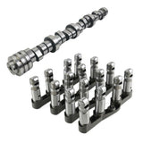 labwork Engine Camshaft & MDS Valve Lifters Kit 53021726AE Replacement for Dodge Durango Ram 1500 Aspen 5.7L V8 OHV