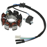 Labwork Generator Stator Coil 31120-HC0-014 31120-HC0-004 31120-HC0-000 Replacement for Honda FourTrax 250 TRX250X 2x4 1987-1992 LAB WORK MOTO